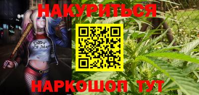 дмт Ставрополь