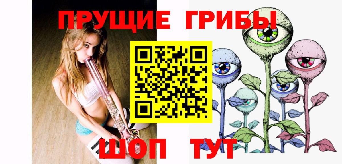 Псилоцибиновые грибы Psilocybine cubensis Анжеро-Судженск