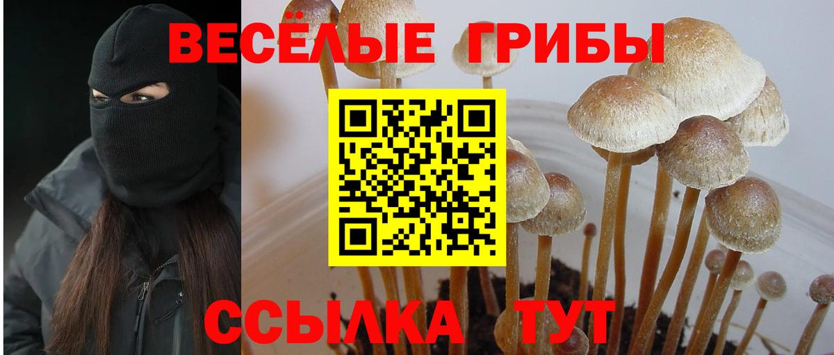 Анжеро-Судженск  Псилоцибиновые грибы Magic Shrooms  Псилоцибиновые грибы Cubensis  Вход с VPN 
